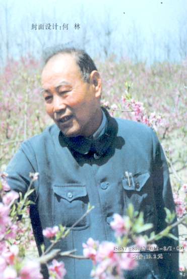 91022shiya.JPG (26407 �o�C�g)