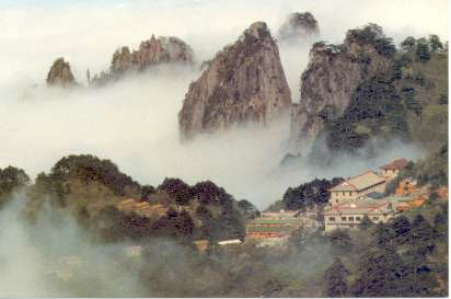 91230ou.jpg (14164 �o�C�g)