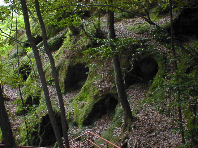 yosimi1.jpg (56606 �Х���)